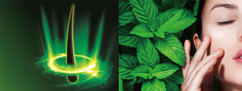 Ichimaru Pharcos: Two new ingredients and world’s first
