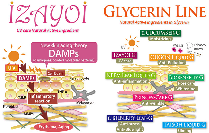 Ichimaru Pharcos unveils new sun care and glycerin natural active line