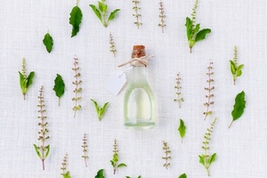 IFF launches first ever Cradle to Cradle certified scent