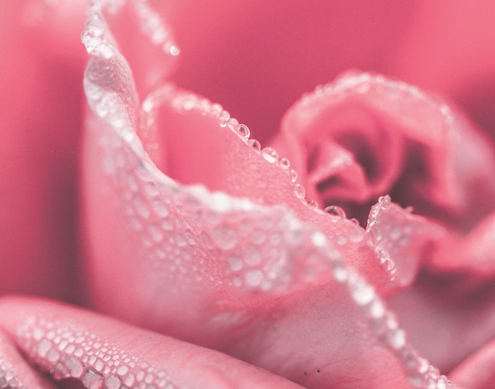 IFF-LMR receives vegan certification for fragrance extracts