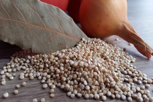 IFF-Lucas Meyer acquires quinoa encapsulation innovator Speximo
