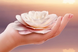 IFRANA rebrands as Fragrance Creators Association