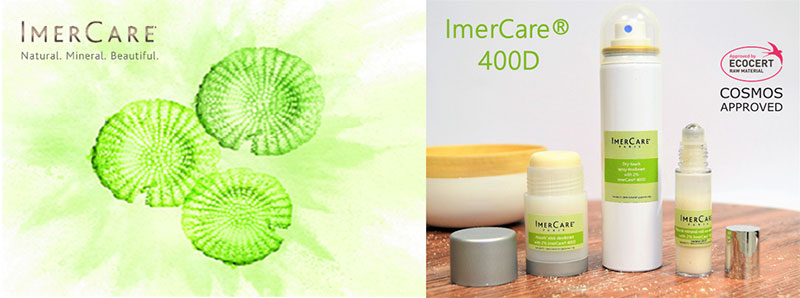 Imerys offers a new natural mineral with a highly effective absorption capacity