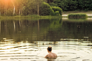In brief: A quick dip into forest bathing 