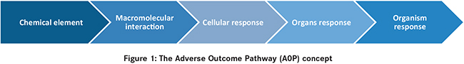 In vitro sensitisation testing: A long and winding road