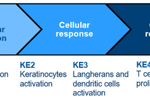 In vitro sensitisation tests: what strategy to follow?