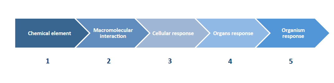 In vitro sensitization tests: 
a long and winding road