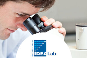 In vitro skin sensitisation evaluation: Spotlight on the SENS-IS