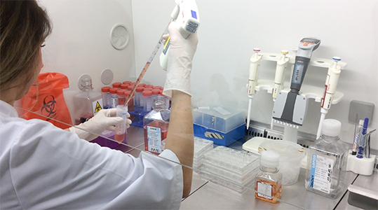 In Vitro study of the endocrine disruptors 