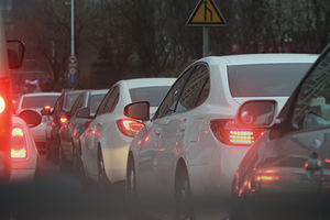 Indena unveils Vitachelox for anti-pollution
