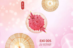 INdermal EXO DDS UV Repair