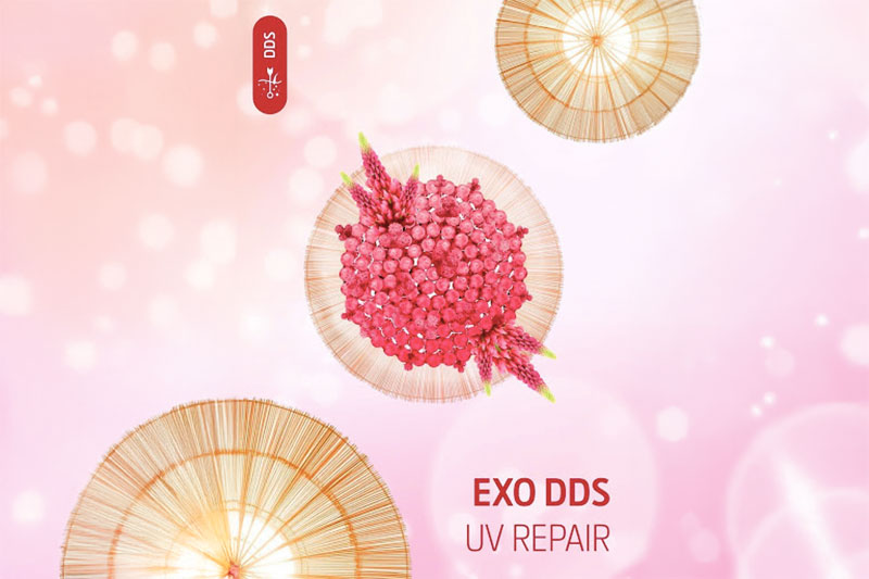 INdermal EXO DDS UV Repair
