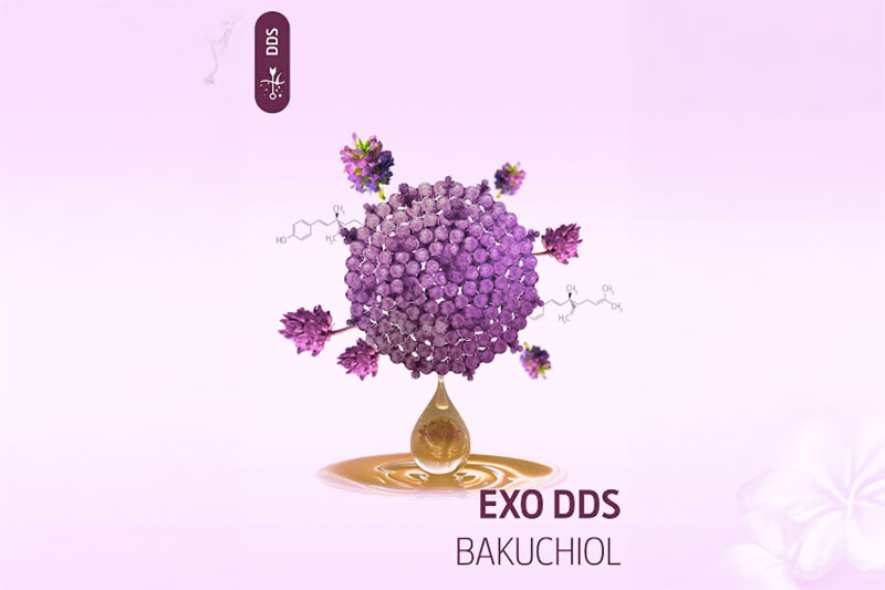 INdermal presents EXO DDS Bakuchiol