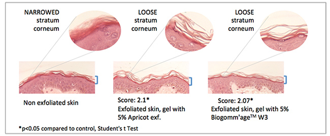 Induchem to launch Biogomm\'age