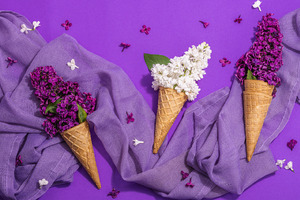 Indulge in beauty: The tempting world of food-inspired cosmetics