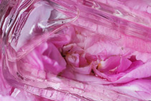 Indulge the senses at in-cosmetics Latin America 2018