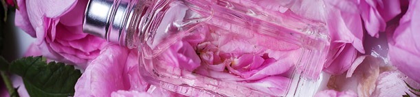 Indulge the senses at in-cosmetics Latin America 2018