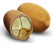 <i>Cupuaçu</i>