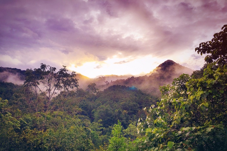 Ingredients supplier Beraca to support companies seeking natural resources from Brazil 