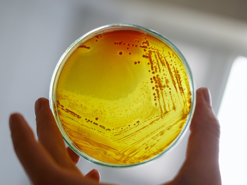 Inolex grows preservation patents portfolio 
