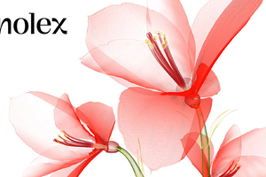 Inolex inspires with new corporate identity