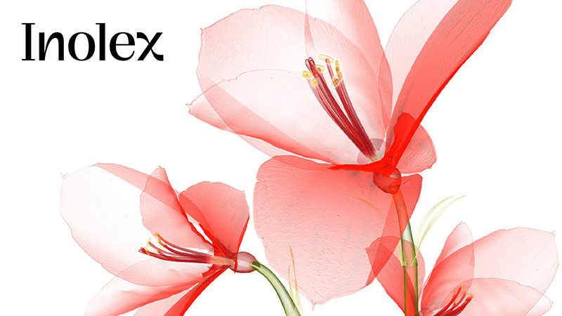 Inolex inspires with new corporate identity