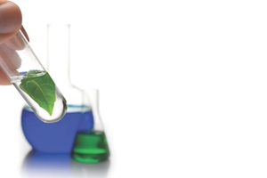 Inolex wins Frost & Sullivan award for hair care ingredient