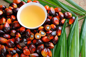 IOI Oleo switches production to RSPO MB materials