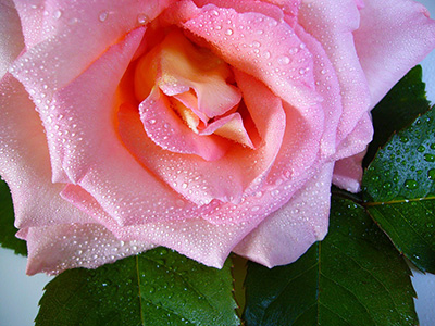 Iran’s rosy future in the export industry