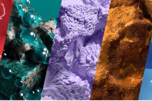 Is beauty ready for Digital Lavender? WGSN and Coloro announce key shades for 2023
