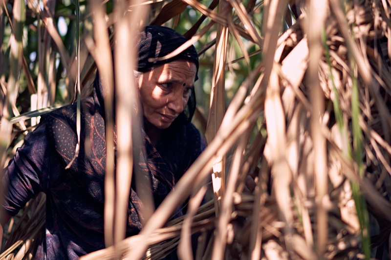 Is beauty’s demand for sugarcane packaging fuelling child labour?