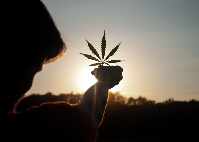 Is China about to ban CBD in beauty products?