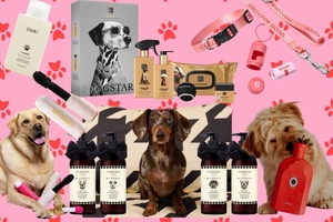 Is dog merchandise beauty's next big flex?