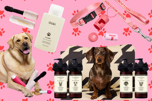 Is dog merchandise beauty's next big flex?