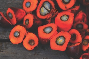 Is palm oil-free the future of beauty? 