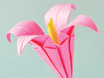 Japan grows appetite for natural and organic cosmetics