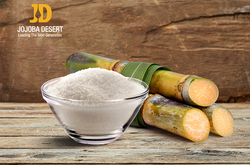 JD branches out beyond jojoba oil with its revolutionary, active natural fibre for skin care
