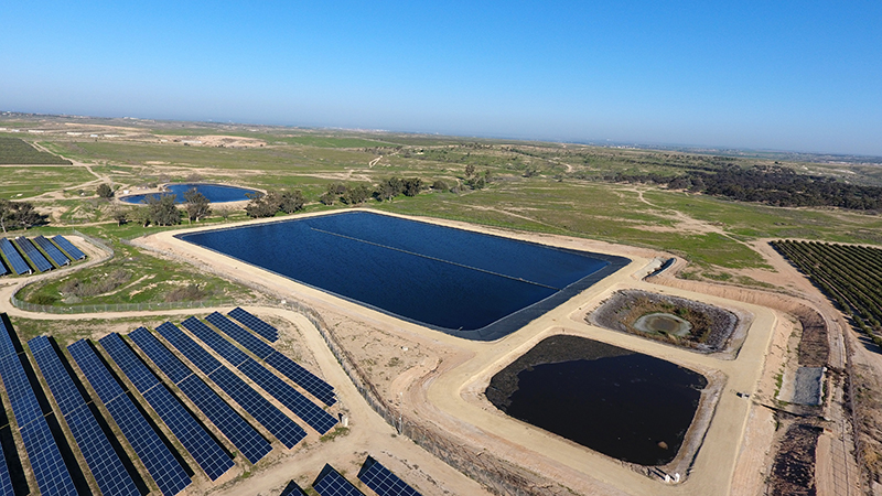  JD Jojoba Oil: A leader in sustainability 
