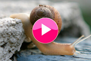Jeanne M takes legal action over Caudalie snail video
