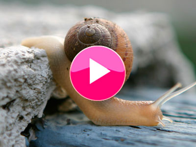 Jeanne M takes legal action over Caudalie snail video