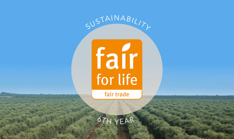 Jojoba Desert marks six consecutive years of fair for life certification