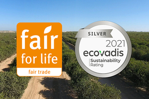 Jojoba Desert: Redefining sustainability