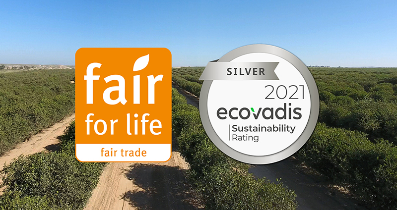 Jojoba Desert: Redefining sustainability