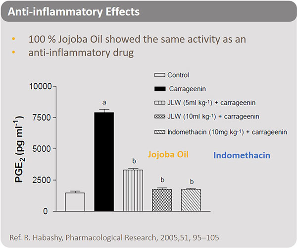 Jojoba Oil – The all natural, after-sun solution
