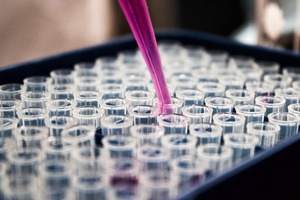 Just the veganning? MSL develops first-ever Vegan Society accredited efficacy test 