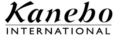 Kanebo financial blemishes rise