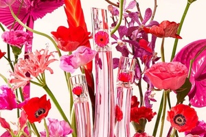 Kenzo has reinvented this iconic fragrance 20 years later 
