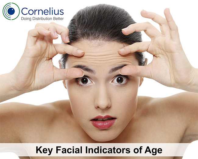 Key Facial Indicators of Age