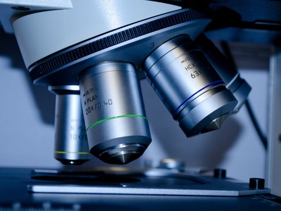 Korea to phase out animal testing for cosmetics