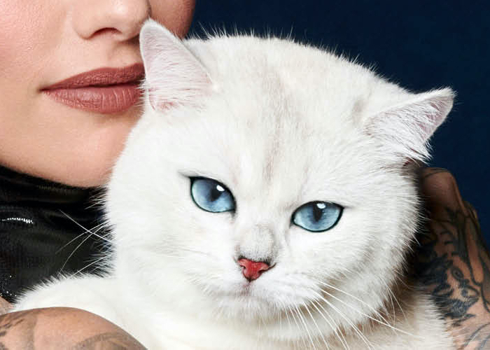 KVD Beauty recruits furry ambassador for latest campaign 